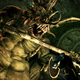 Illustration for article titled How A Total Novice Built A Solid YouTube Following Beating Dark Souls